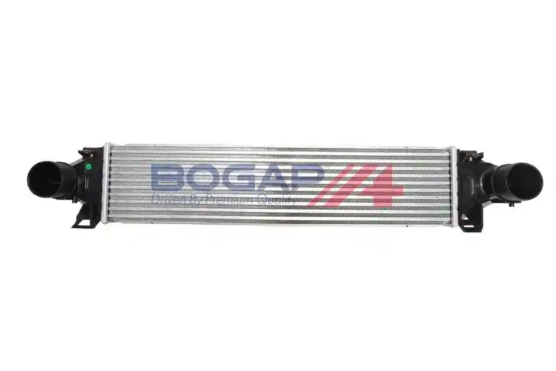 BOGAP E4220109