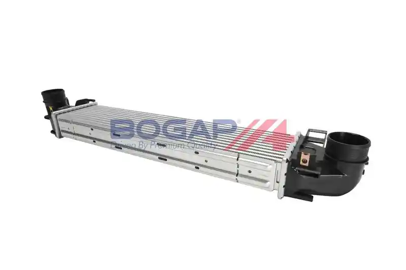 BOGAP E4220109