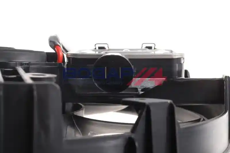 BOGAP E4243101