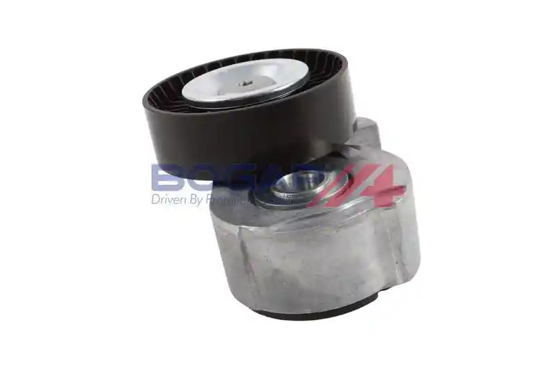 BOGAP F1317107