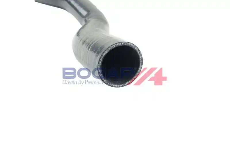 BOGAP F1711101