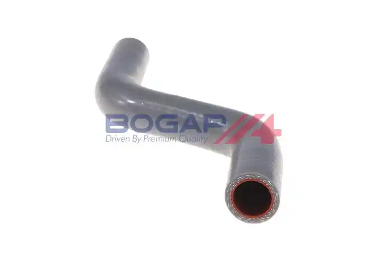 BOGAP F1711106
