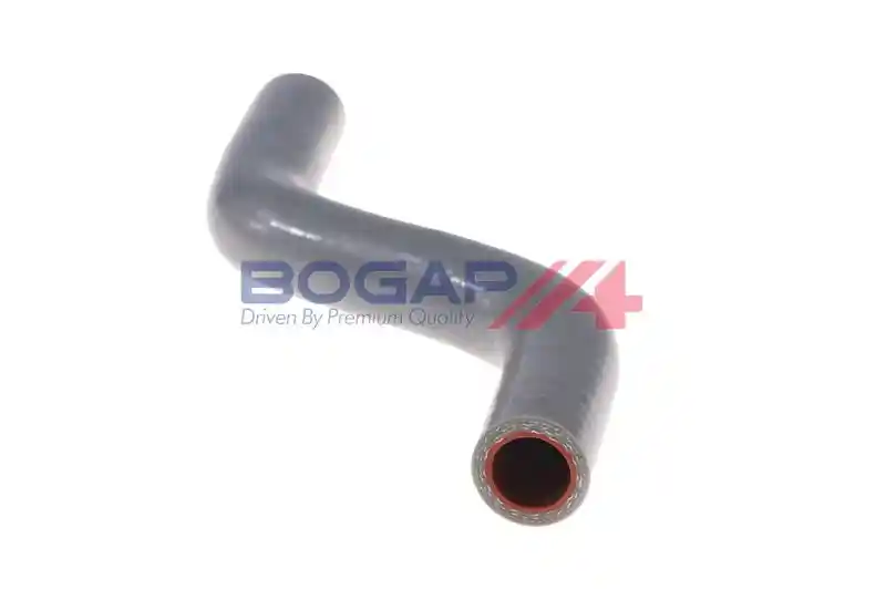 BOGAP F1711106