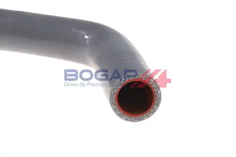 BOGAP F1711106