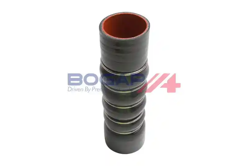 BOGAP F1711109 BOGAP F1711109