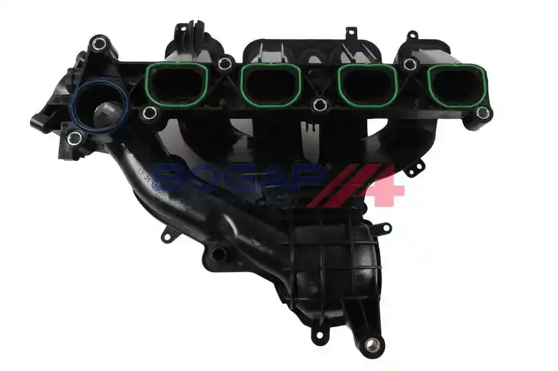 BOGAP F1712109