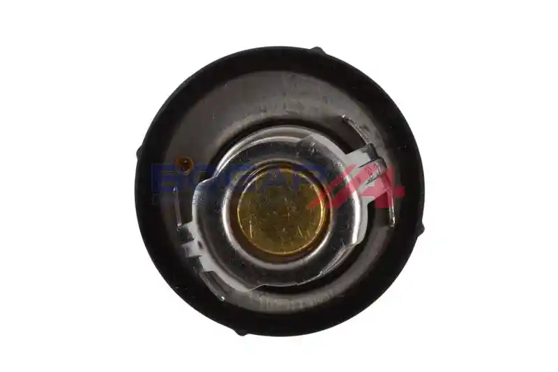 BOGAP F4245109 BOGAP F4245109