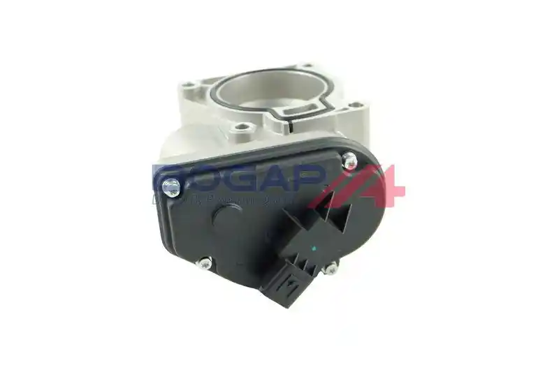 BOGAP F6319101 BOGAP F6319101
