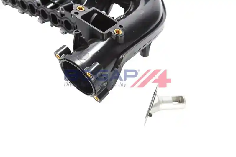 BOGAP G1712100 BOGAP G1712100