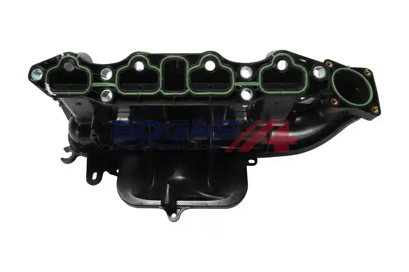 BOGAP G1712103