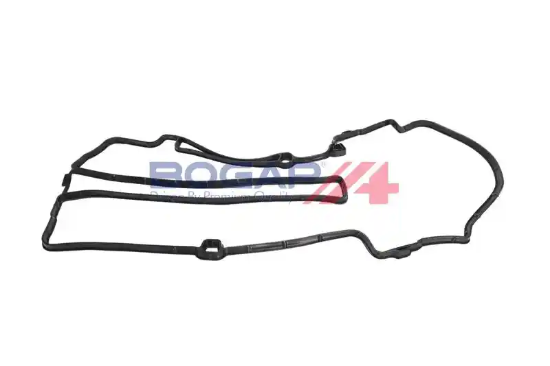BOGAP L1118101