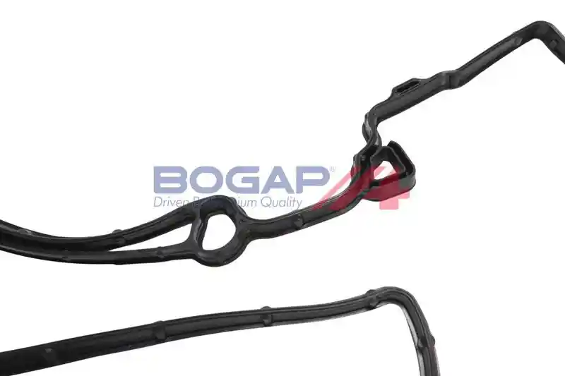 BOGAP L1118101