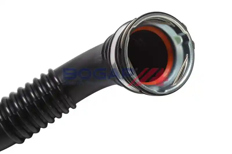 BOGAP L1711106 BOGAP L1711106