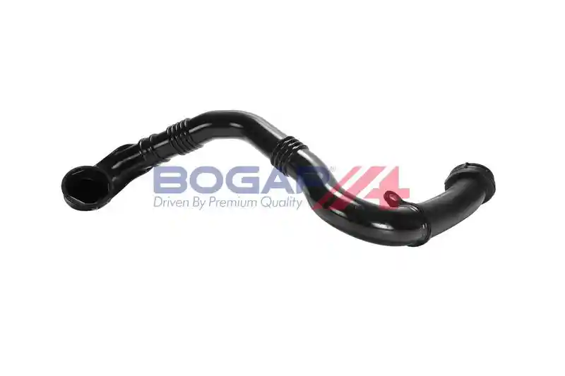 BOGAP L1711114 BOGAP L1711114