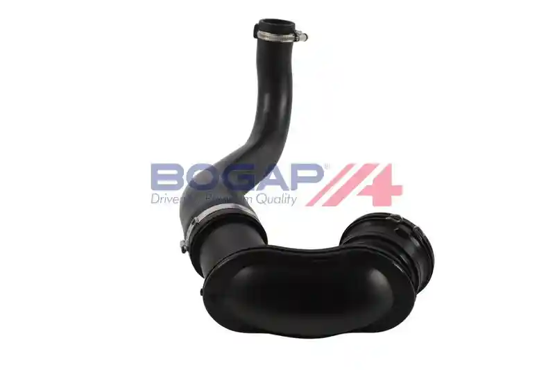 BOGAP L1711133