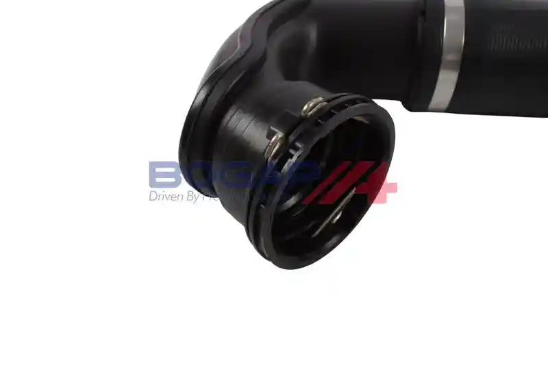 BOGAP L1711133