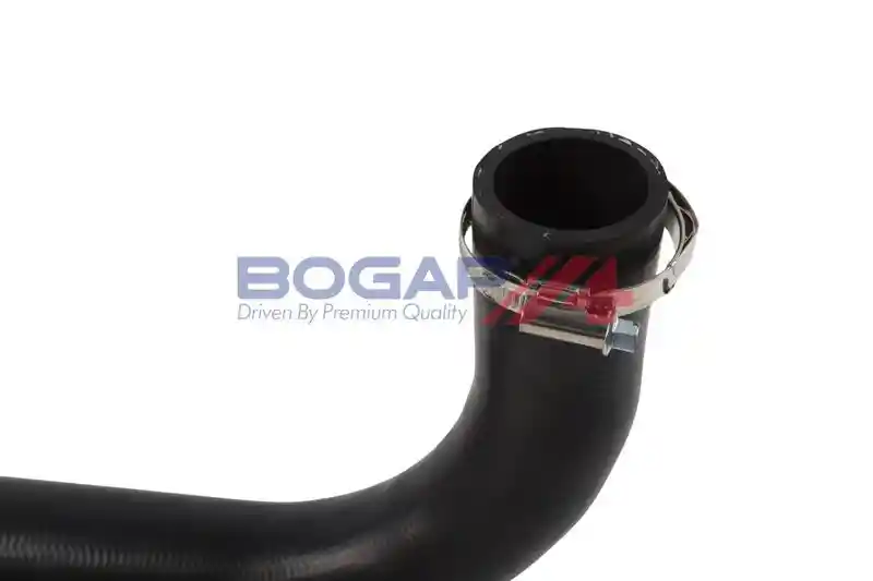 BOGAP L1711133
