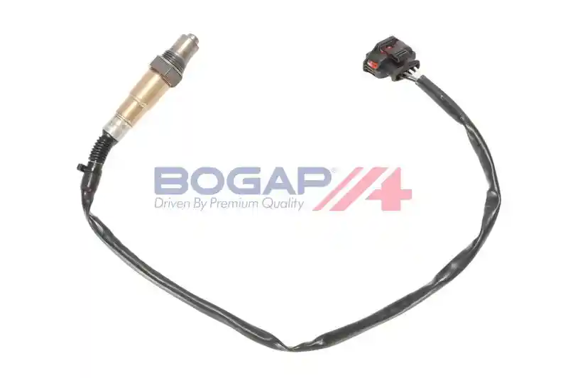 BOGAP L6119107