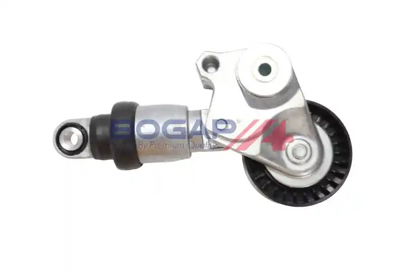 BOGAP M1317102