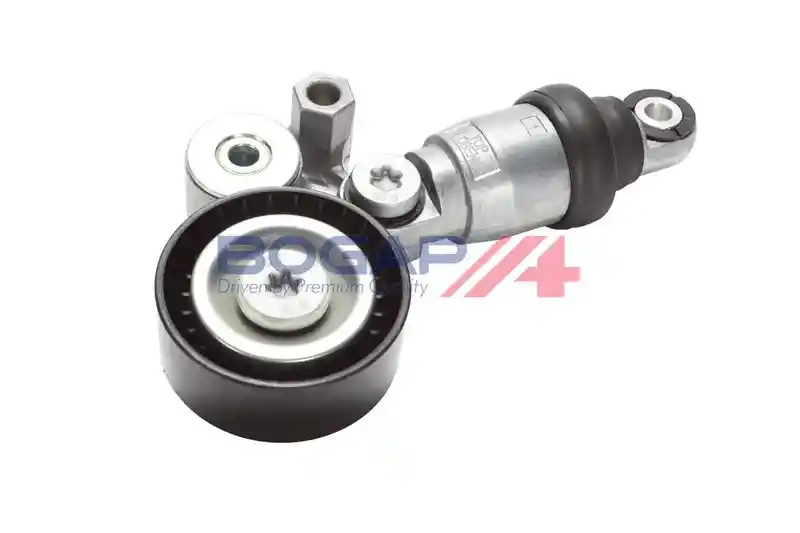 BOGAP M1317102