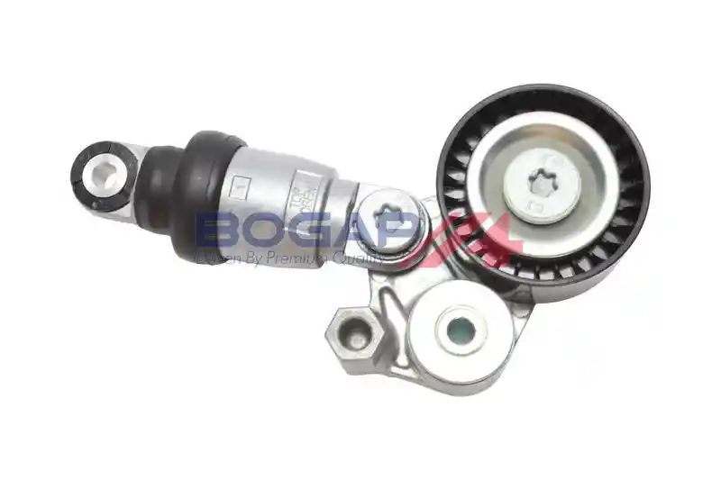 BOGAP M1317102