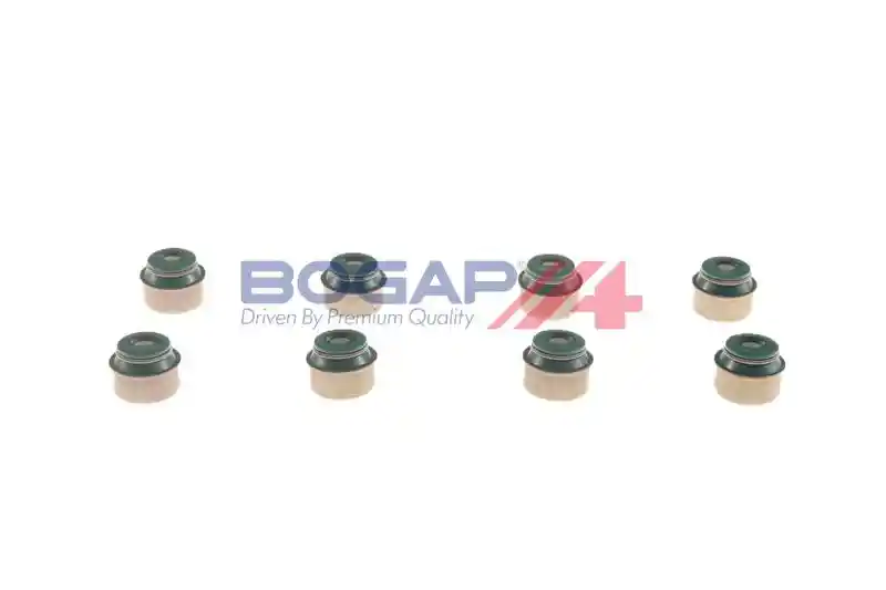 BOGAP N1343102