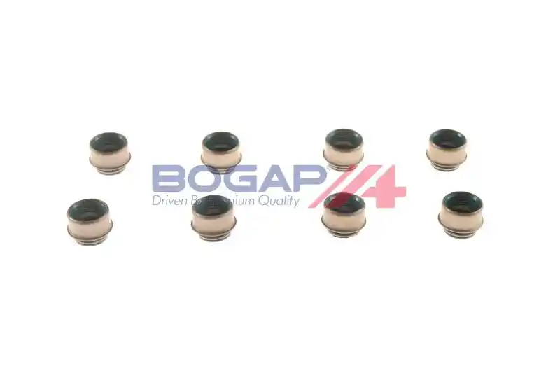 BOGAP N1343102