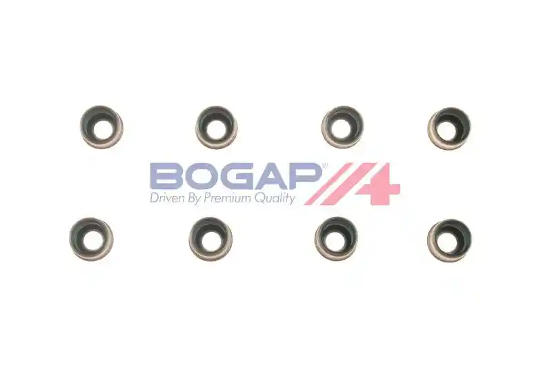 BOGAP N1343102