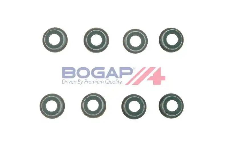 BOGAP N1343102