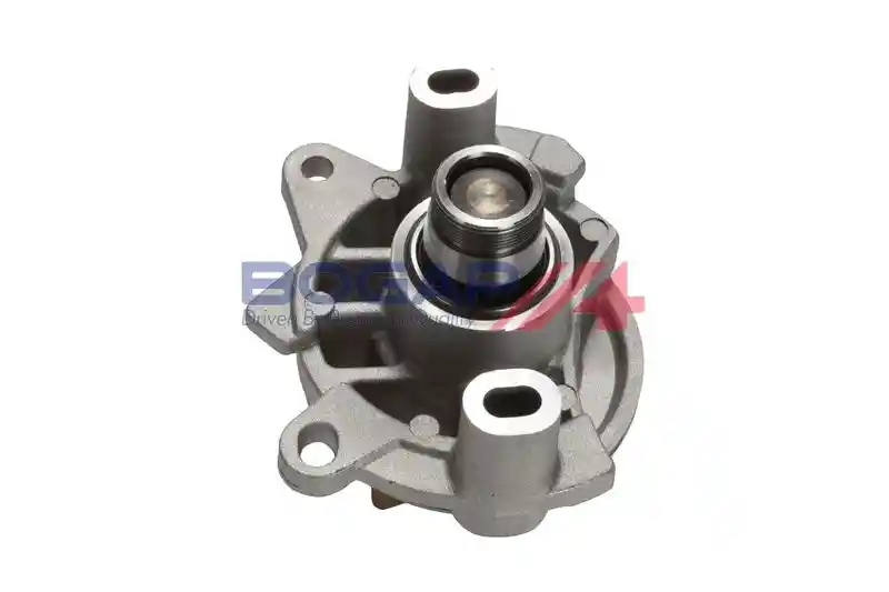 BOGAP N4234110 BOGAP N4234110