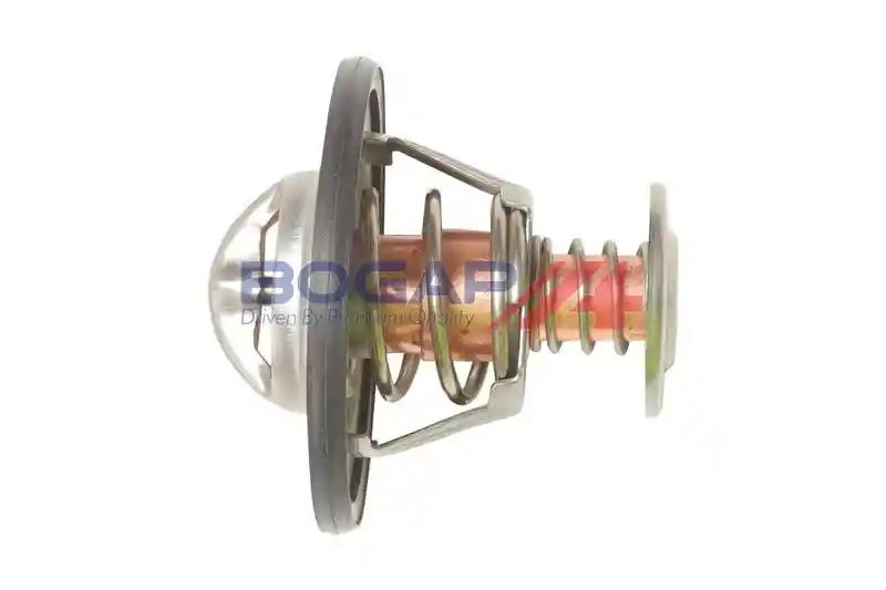 BOGAP N4245100 BOGAP N4245100