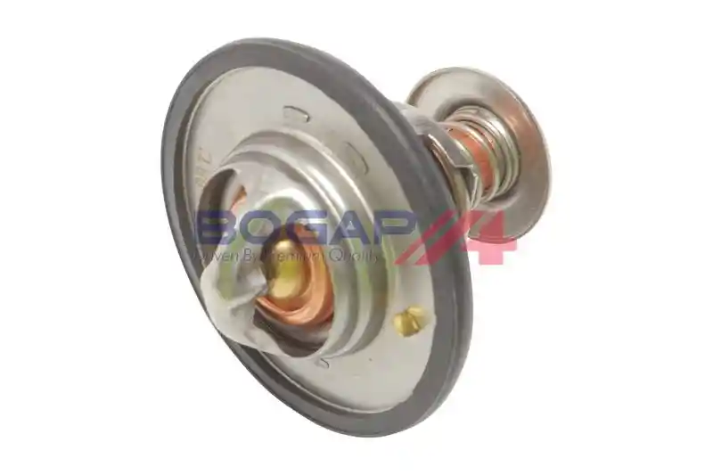 BOGAP N4245100 BOGAP N4245100