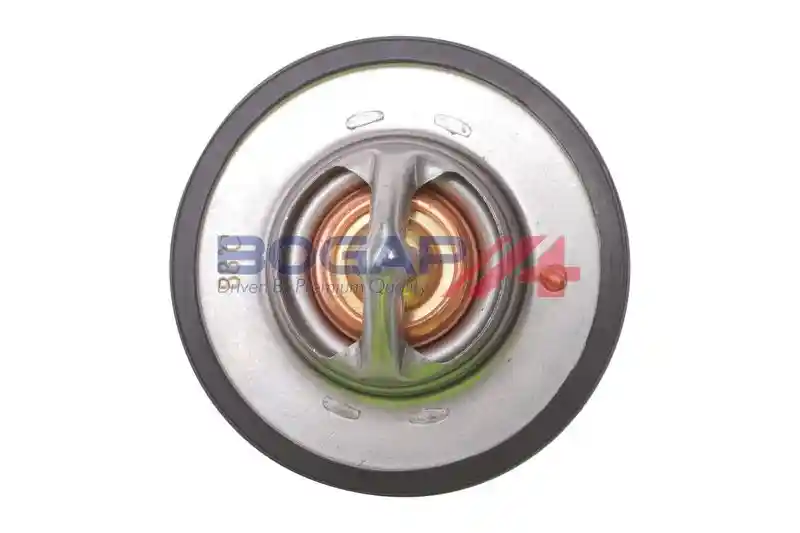 BOGAP N4245100 BOGAP N4245100