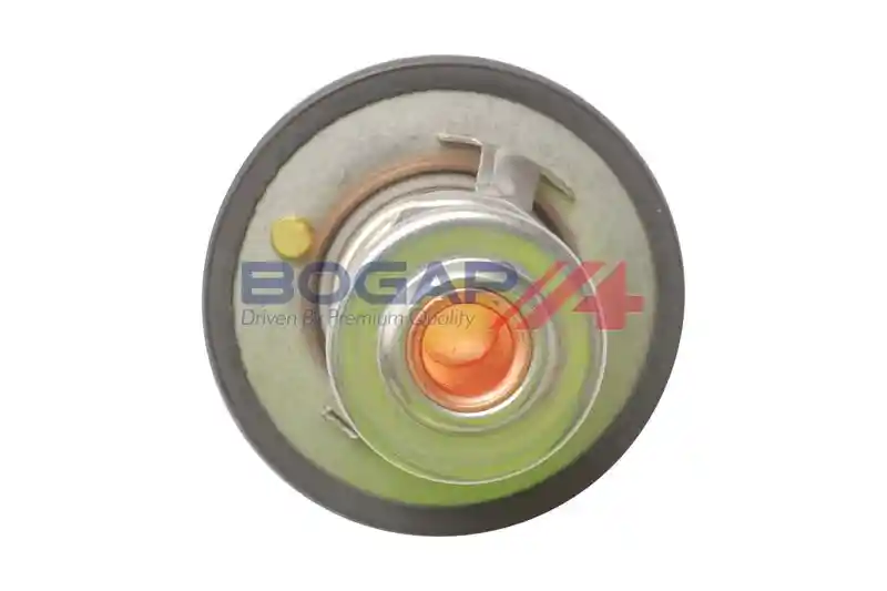 BOGAP N4245100 BOGAP N4245100