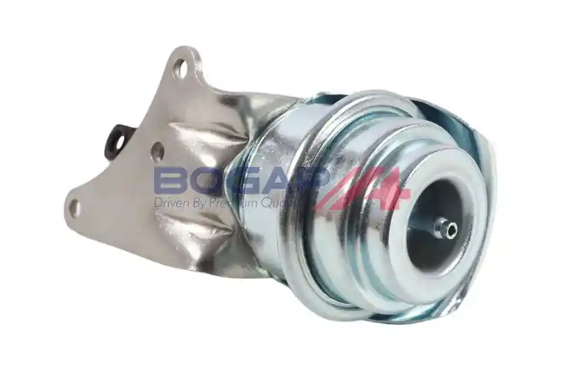 BOGAP N6313106