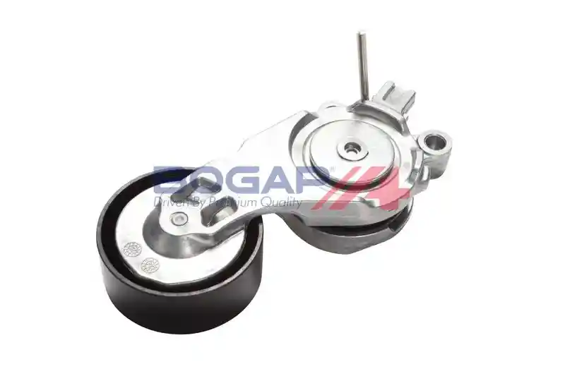 BOGAP P1317110