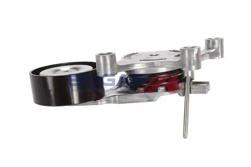 BOGAP P1317110