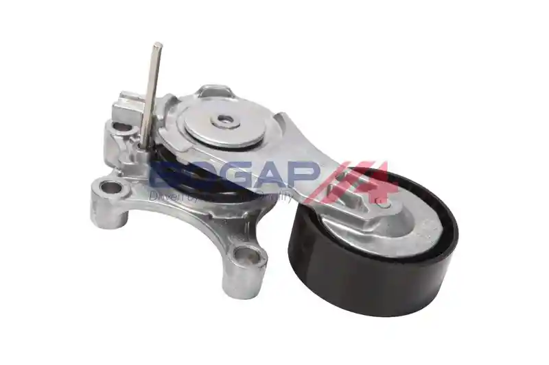 BOGAP P1317110