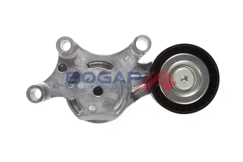 BOGAP P1317110