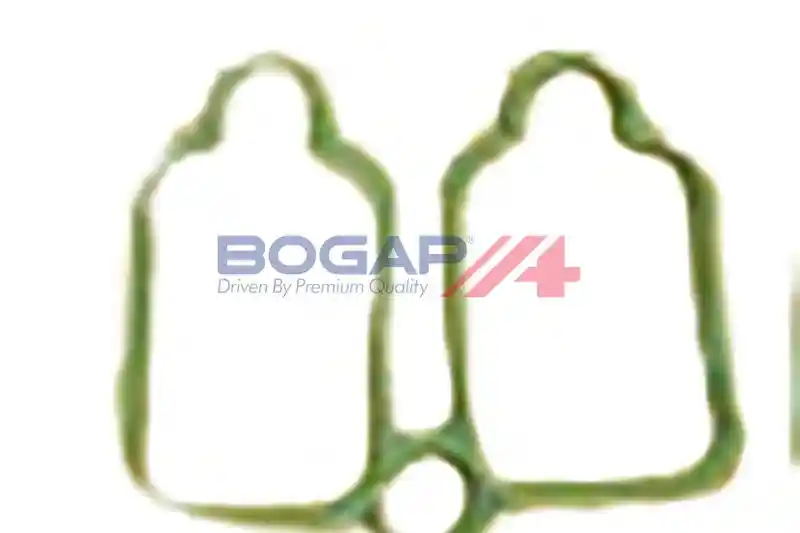BOGAP P1715101 BOGAP P1715101