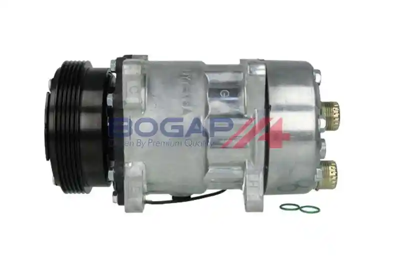 BOGAP P4110117
