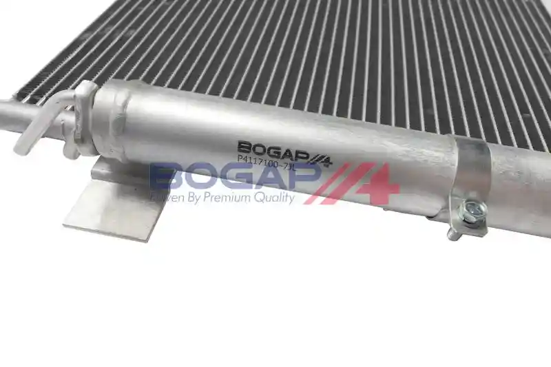 BOGAP P4117100 BOGAP P4117100