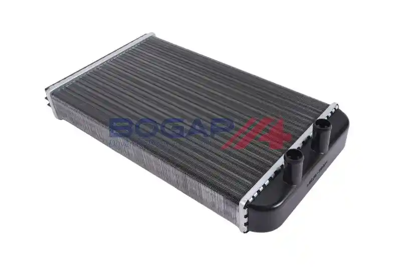 BOGAP P4120113