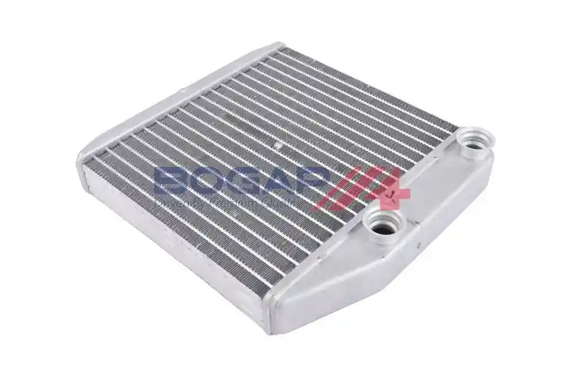BOGAP P4120139