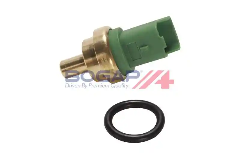 BOGAP P4126131