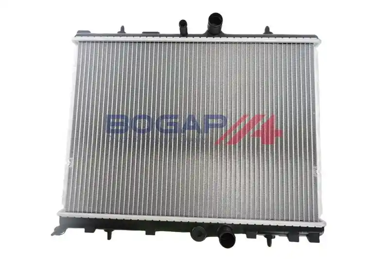 BOGAP P4210174