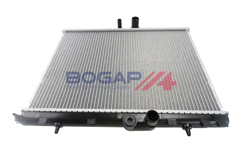 BOGAP P4210174