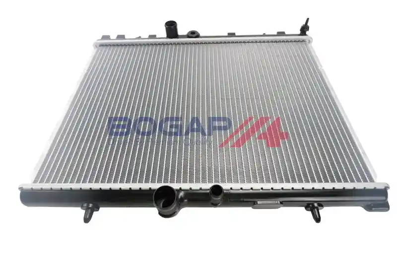 BOGAP P4210174