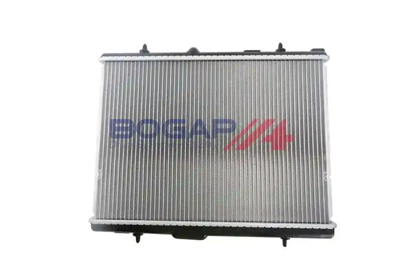 BOGAP P4210174