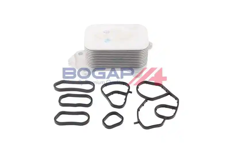 BOGAP P4222101